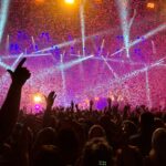 Muziekbeleving in nederland